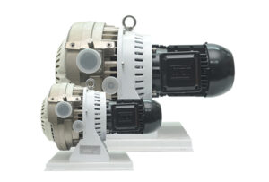 wxg-300x203.jpg
